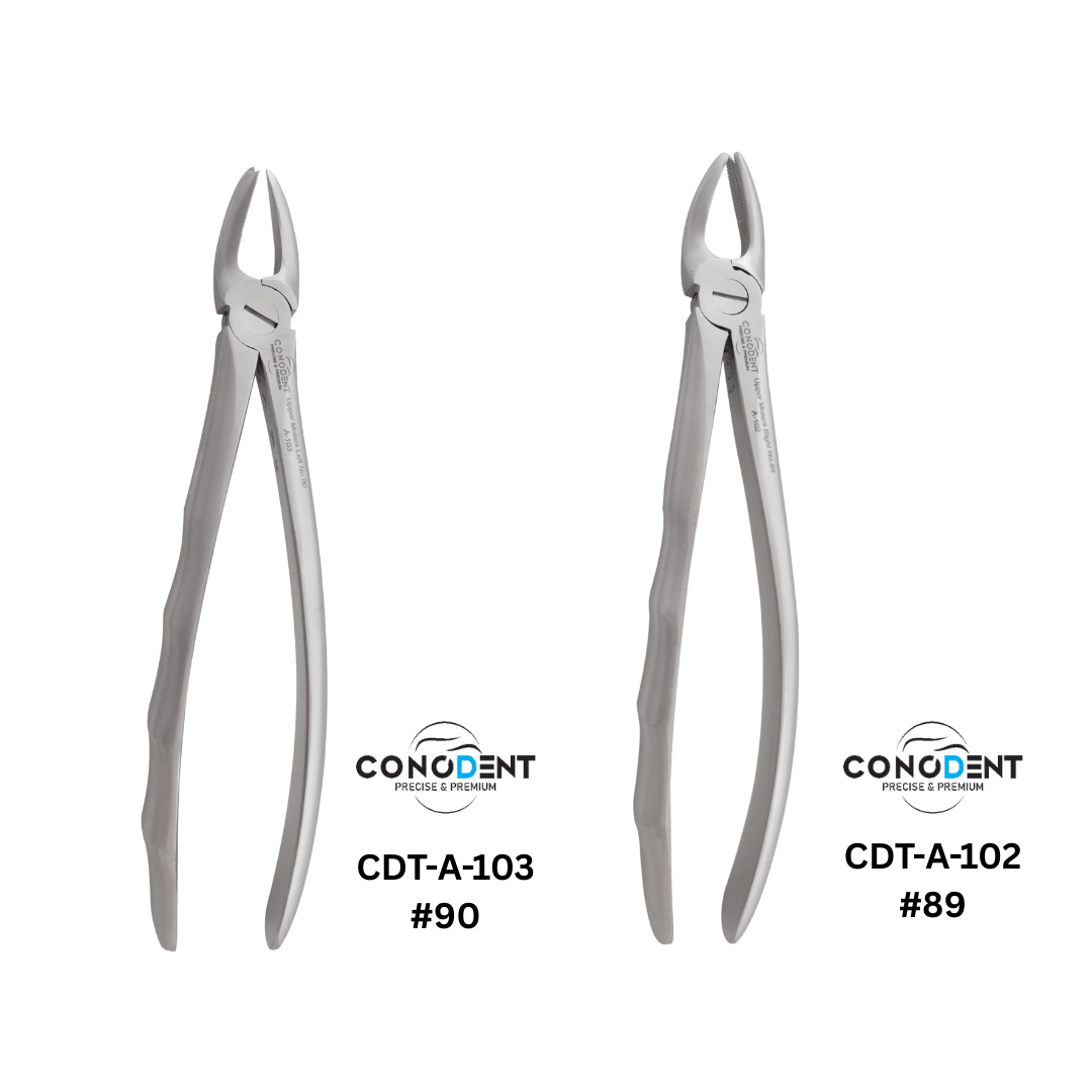 Conodent Upper Cow Horn Pattern Extraction Forceps English Pattern Anatomical Handle