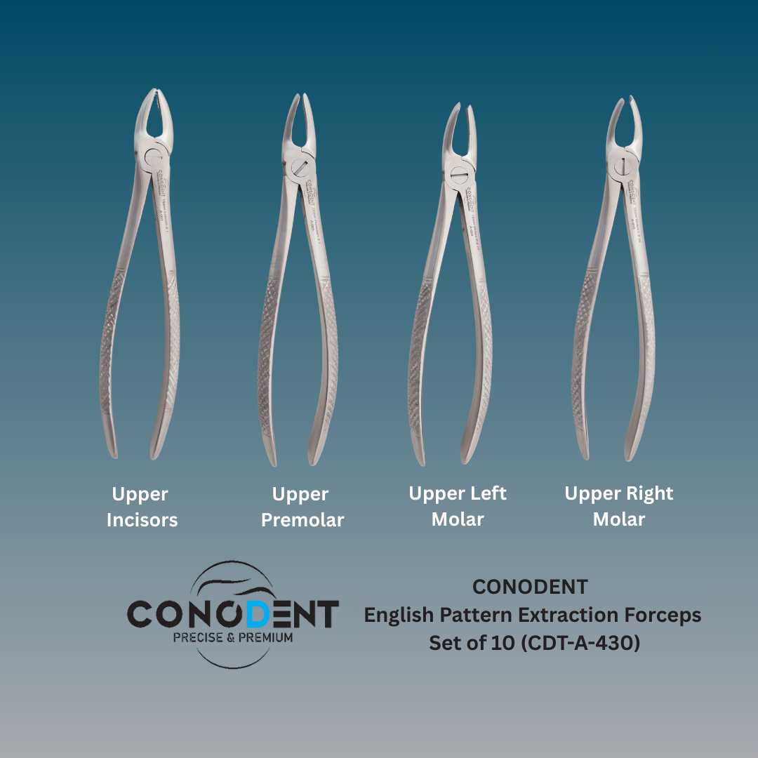 Conodent English Pattern Extraction Forceps Set of 10 - CDT-A-430 - Image 2