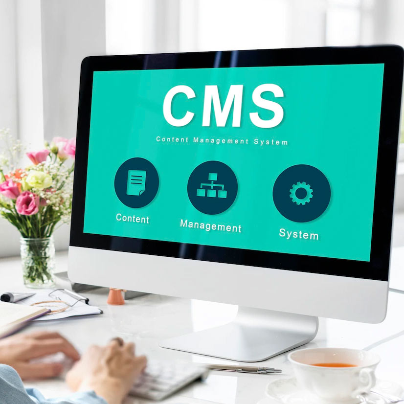 Wordpress Website Design Company in Mumbai